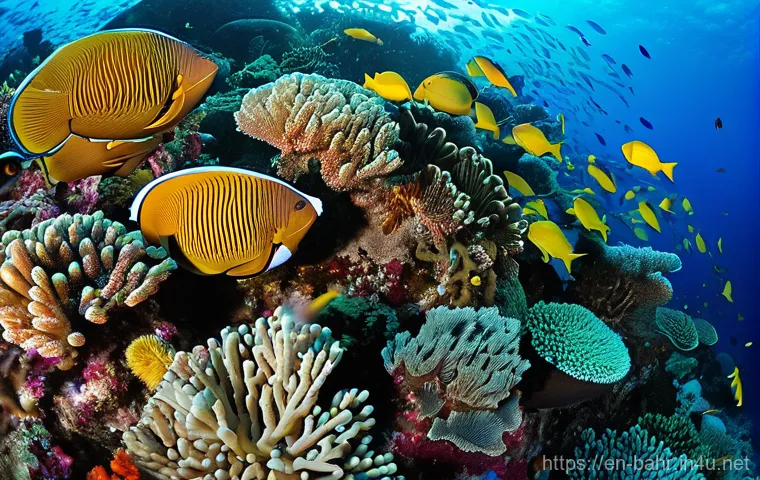 바레인 다이빙 명소 - **"A Glimpse into the Past: Bahrain's Ancient Pearl Diving Legacy"**
    An underwater scene at Fash...